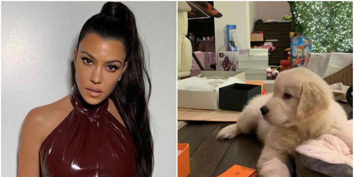Kourtney Kardashian Responds to Backlash Over Getting a New Puppy for Christmas - www.cosmopolitan.com