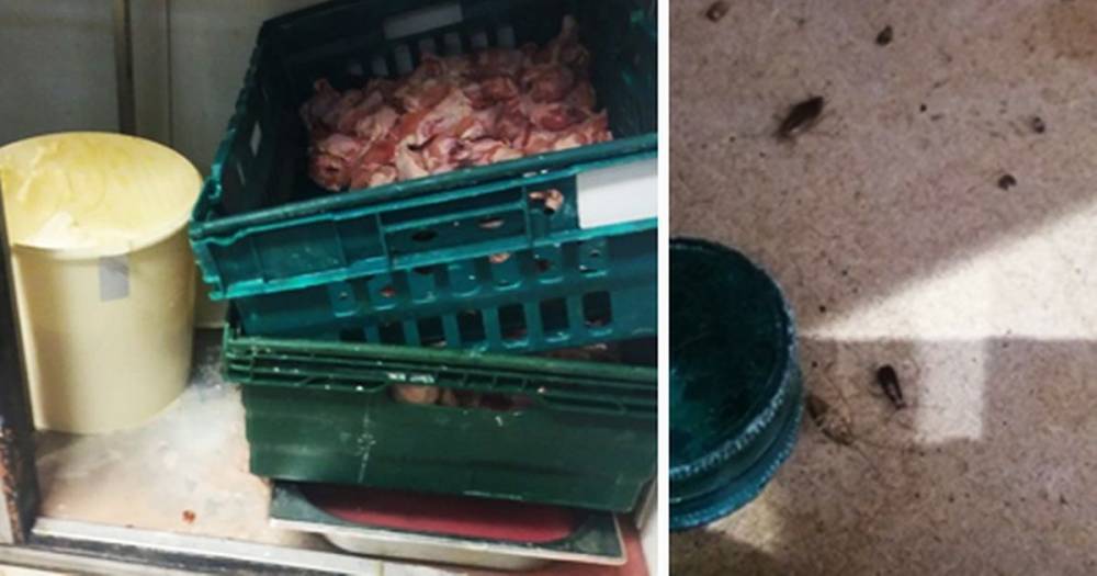 Cockroaches, an open bucket of mayo sitting in raw chicken juice and dirty fridges... this south Manchester takeaway was filthy when inspectors visited - www.manchestereveningnews.co.uk - Manchester