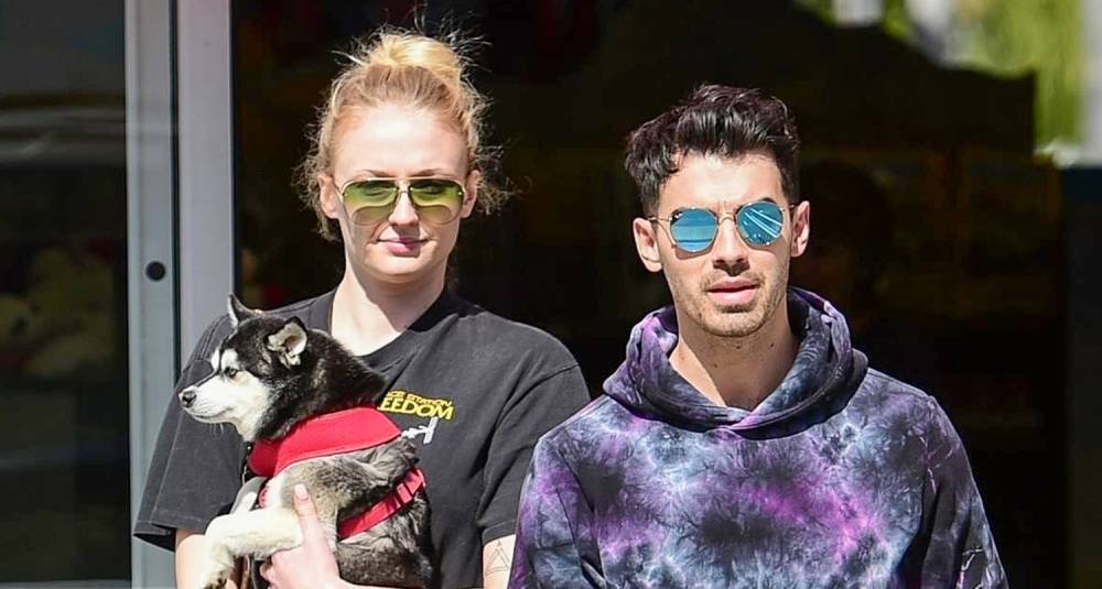 Sophie Turner Covers Up Baby Bump While Holding Dog Porky During Day Out with Joe Jonas - www.justjared.com - city Studio