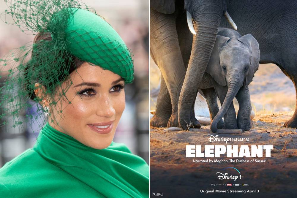 Meghan Markle becomes Disney star with new ‘Elephants’ trailer - nypost.com - Britain