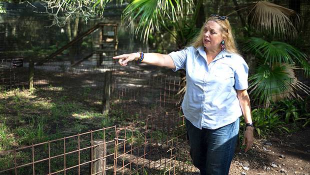 Carole Baskin: 5 Things To Know About The ‘Tiger King’ Star Who Joe Exotic Was Convicted Of Trying To Kill - hollywoodlife.com - Florida