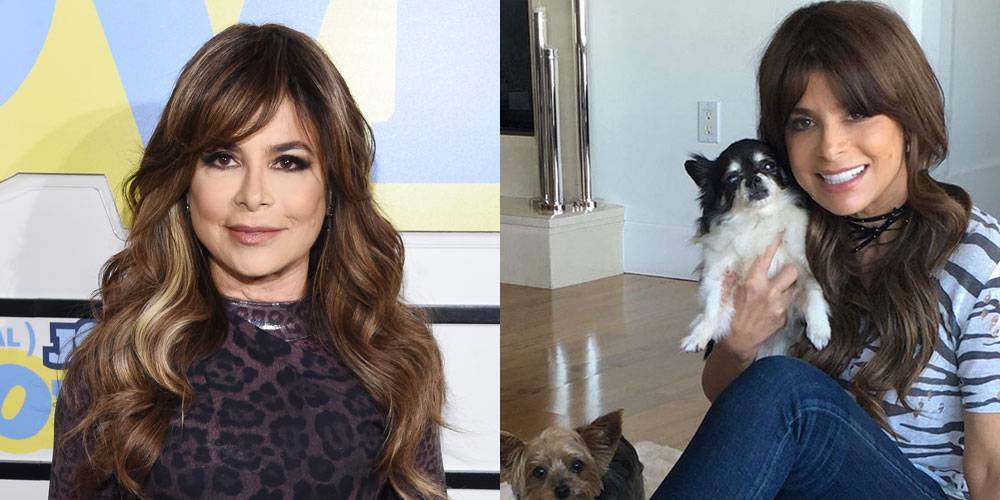 Paula Abdul Mourns Deaths of Her Two Dogs, Who Both Died This Past Week - www.justjared.com - USA