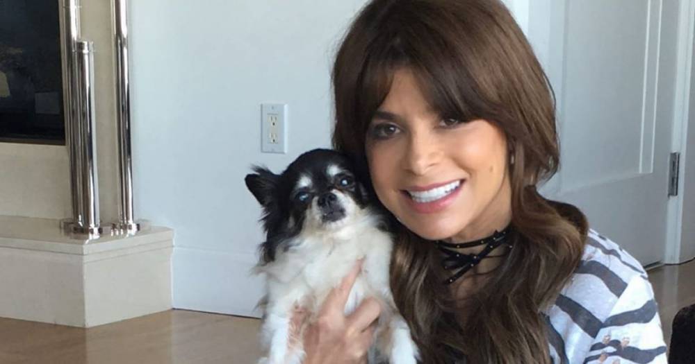 Paula Abdul in Mourning After 2 of Her Dogs Die in the Same Week: 'Piece of My Heart Is Missing' - flipboard.com