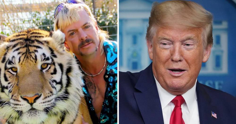 Donald Trump says he'll 'look at' Tiger King star Joe Exotic's prison sentence after son watched Netflix show - www.ok.co.uk - Britain - USA