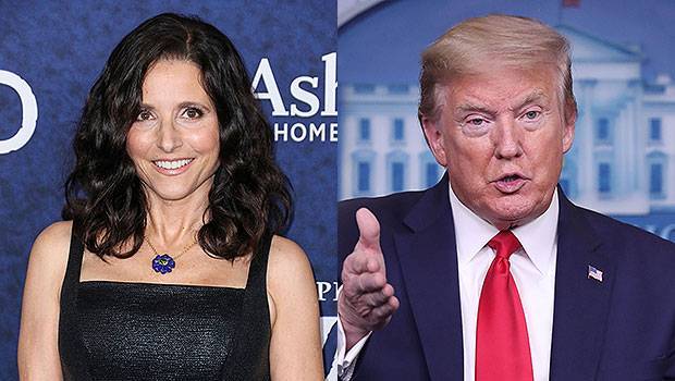 Julia Louis-Dreyfus Shades Trump While Agreeing To Be Joe Biden’s VP: ‘I’m An Unqualified TV Personality’ - hollywoodlife.com