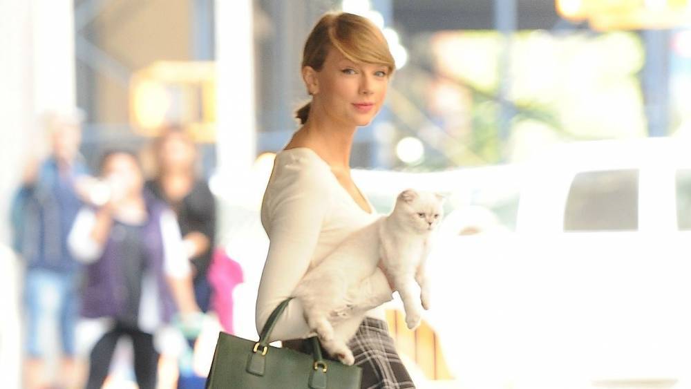 Taylor Swift’s Cat Olivia Benson Pretty Much Sums Up Everyone’s Quarantine Mood: Pic - www.etonline.com