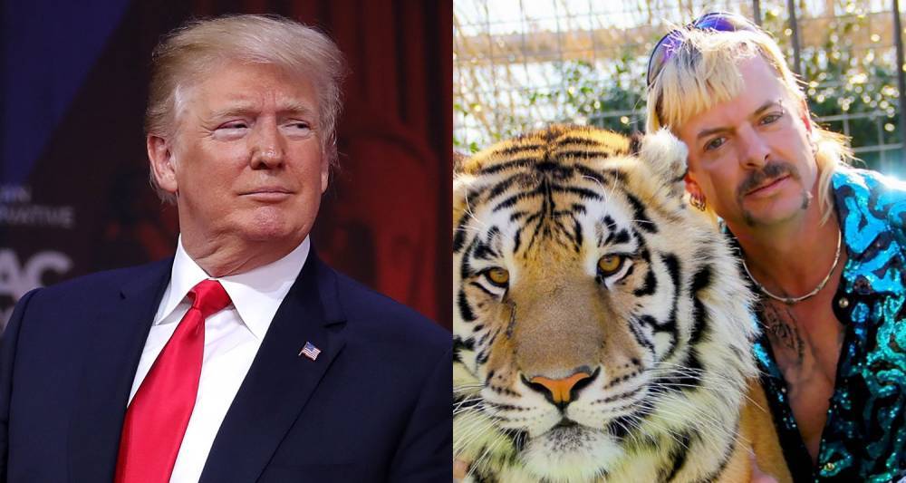 President Trump Addresses Possibly Pardoning 'Tiger King' Star Joe Exotic - www.justjared.com - New York