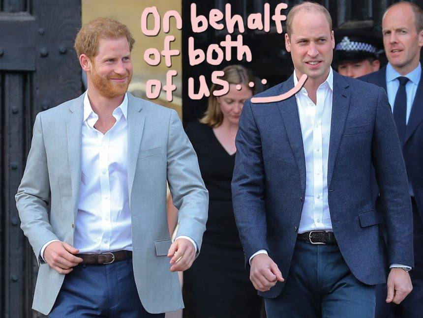 Prince William & Prince Harry Team Up To Thank Volunteers For Princess Diana’s Charity - perezhilton.com