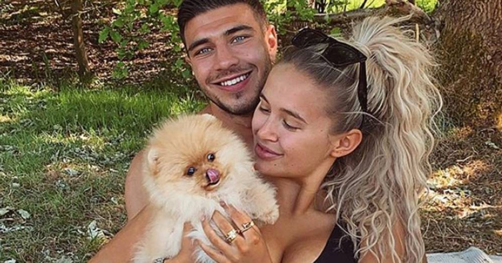 Molly-Mae Hague and Tommy Fury's dog Mr Chai dies six days after bringing him home - www.ok.co.uk - Manchester - Russia - Hague - county Love