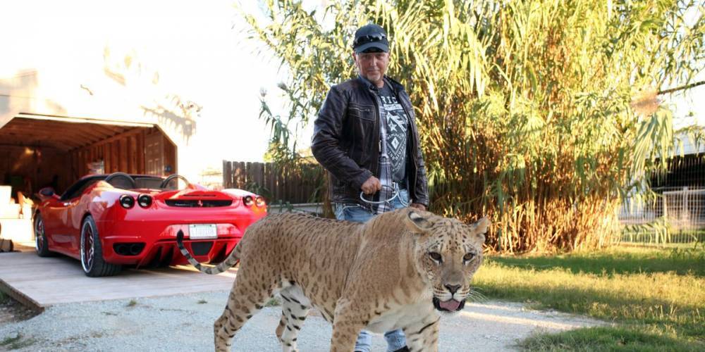 Jeff Lowe Is Leaving Zoo in "Complete Hell" Before Handing Keys to Carole Baskin - www.cosmopolitan.com