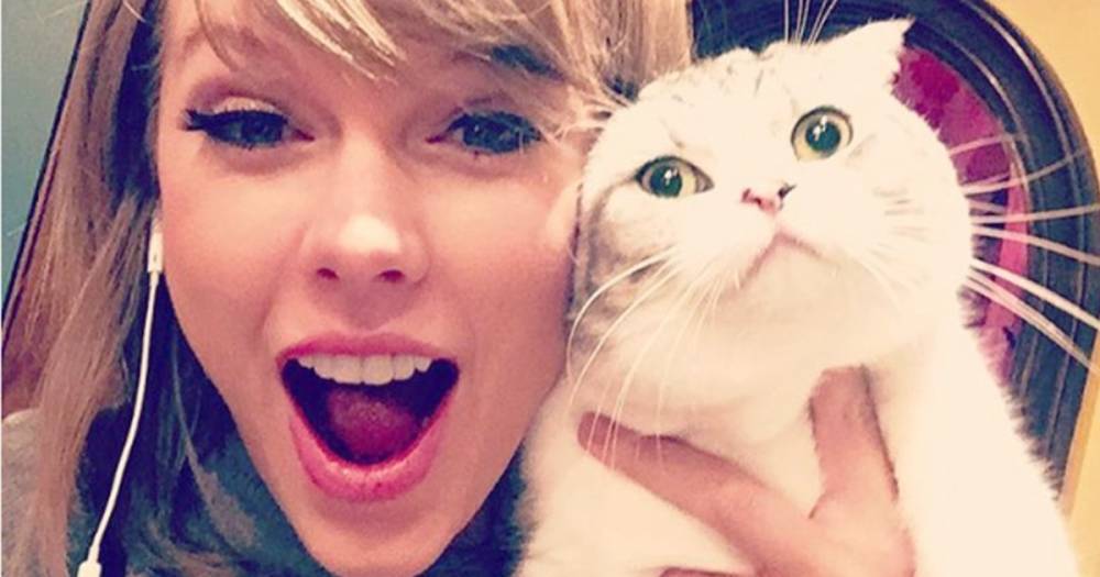 Celebrities Who Are Obsessed With Their Cats: Taylor Swift, Kate Beckinsale and More - www.usmagazine.com