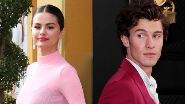 Selena Gomez, Shawn Mendes More Highlight ‘Incredible’ Black Changemakers On Their Instagram - hollywoodlife.com
