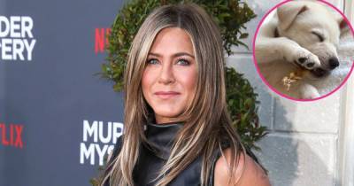 Jennifer Aniston Introduces New Rescue Puppy Lord Chesterfield: ‘He Stole My Heart’ - www.usmagazine.com - county Chesterfield