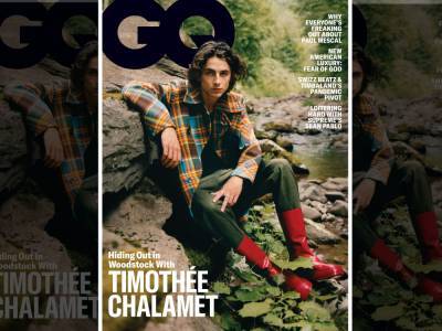 Timothée Chalamet Looks Back At His Sudden Rise To Fame - etcanada.com