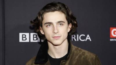 Timothée Chalamet makes his thoughts on the 2020 election clear - www.foxnews.com