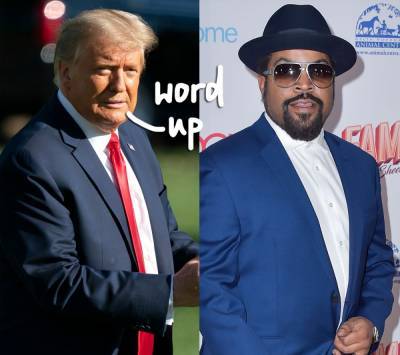 Ice Cube Tries To Explain Why He’s Working With Donald Trump Now — And No One Is Buying It! - perezhilton.com