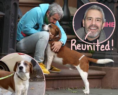 Andy Cohen Reunites With Beloved Dog Wacha Months After Tearful Re-Homing! - perezhilton.com - New York