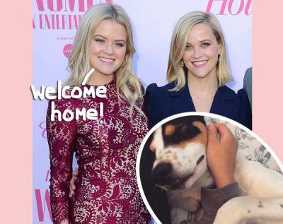 Reese Witherspoon’s Daughter Ava Phillippe Brings Home New Pup After Loss Of Beloved Family Dog - perezhilton.com - France