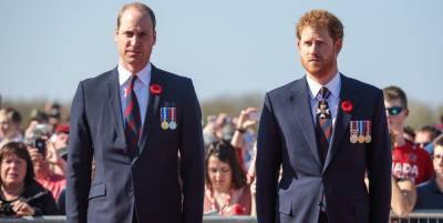 Prince William and Prince Harry's Rift Is "as Damaging as Diana's Death" to the Royal Family, Expert Says - www.marieclaire.com