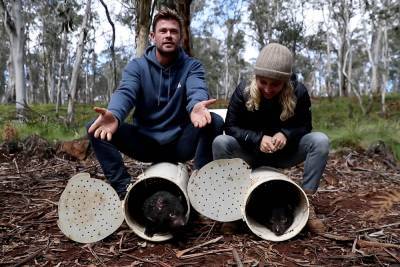 Chris Hemsworth welcomes Tasmanian devils back after 3,000 years - nypost.com - Australia