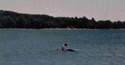 Sightings of Loch Ness Monster's 'American brother’ causing a stir among visitors - www.dailyrecord.co.uk - USA - New York