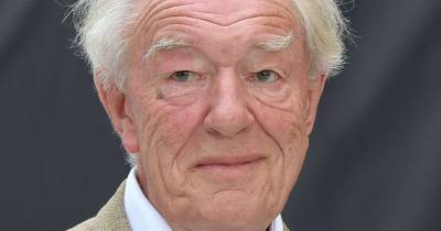 Michael Gambon faces £55,000 lawsuit for allegedly running over cyclist’s foot - www.msn.com