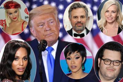 Celebs React To Election Night Antics After Trump Falsely Declares Victory: 'Count Every Vote' - perezhilton.com