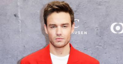 Liam Payne Defends ‘Difficult’ Decision to Not See Son Bear, 3, Amid Coronavirus Pandemic - www.usmagazine.com