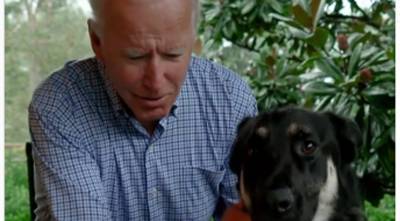 Joe Biden's Dog Major Will Be First Rescue Dog in White House - www.justjared.com - Germany