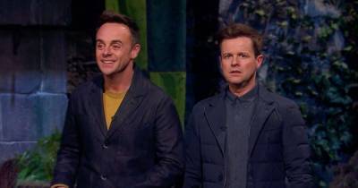 I'm a Celebrity star Declan Donnelly disappointed in Giovanna and Vernon's Bushtucker Trial - www.msn.com