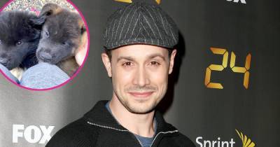 Freddie Prinze Jr. Says Having Puppies Is ‘Harder’ Than Raising Babies After Getting 2 Akita Dogs for Christmas - www.usmagazine.com