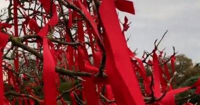 "This is so disrespectful" - BBC criticised for using red ribbons to remember lives lost to Covid on World AIDS Day - www.manchestereveningnews.co.uk