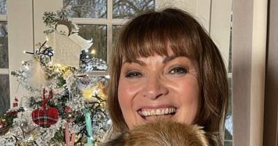 Inside Scottish celebrities' Christmas homes as stars go all out on festive decorations - www.dailyrecord.co.uk - Scotland