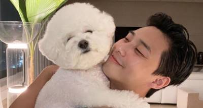 PHOTO: Park Seo Joon leaves us breathless as he flaunts his toned biceps while posing with his dog Simba - www.pinkvilla.com - South Korea