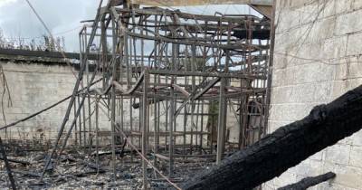 Scots zoo left without power after devastating blaze as fundraising page set up to save it - www.dailyrecord.co.uk - Scotland