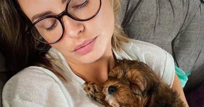 Rhian Sugden on how getting a puppy has consoled her after two failed IVF attempts - www.manchestereveningnews.co.uk