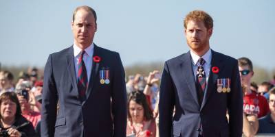 Princes Harry and William Issue Rare Joint Statement About the Statue of Their Mother Princess Diana - www.marieclaire.com
