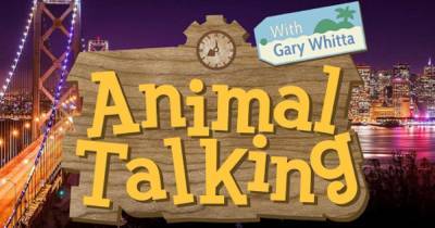 Xbox boss Phil Spencer is going on the Animal Crossing talk show - www.msn.com