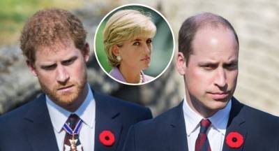 Prince William tells Harry: Mum wouldn't want this! - www.newidea.com.au - Britain