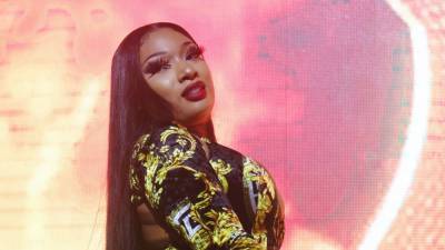 Megan Thee Stallion's Adorable New Pup X Makes His Instagram Debut - www.mtv.com - Houston