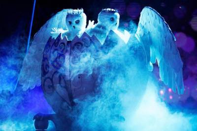 The Masked Singer's Snow Owls Are Probably This Famous Family Duo - www.tvguide.com