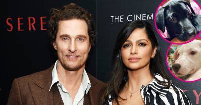 Matthew McConaughey and Camila Alves Adopt 2 Puppies Within a Week: ‘What Was I Thinking’ - www.usmagazine.com