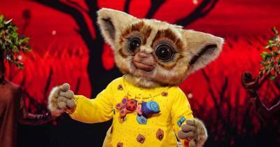 The Masked Singer: Bush Baby’s identity revealed in latest episode - get the details - www.msn.com