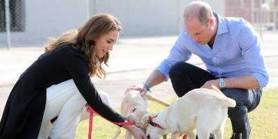 Kate Middleton & Prince William Adopted A New Puppy Just Before Their Other Dog Lupo Died - www.justjared.com