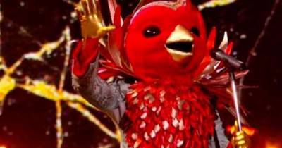 Who is Robin on The Masked Singer? Viewers spot 'tell-tale sign' on star's Twitter - www.msn.com - Britain