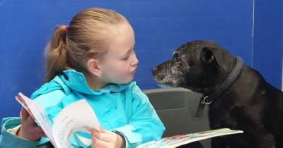 Scots schoolgirl's super cute storytime sessions help 'nervous' rescue centre animals - www.dailyrecord.co.uk - Scotland - Centre