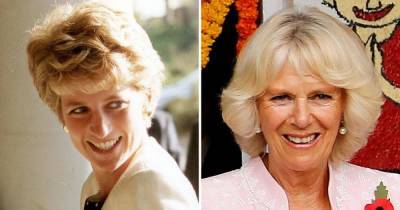 Princess Diana’s Fixation on Duchess Camilla Started During Her Wedding to Prince Charles, Royal Commentator Claims - www.usmagazine.com - county Charles