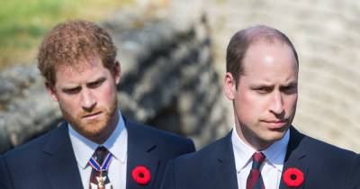 William 'isn't Prince Charming' and exposed Harry to 'temptations', expert says - www.ok.co.uk - county Charles