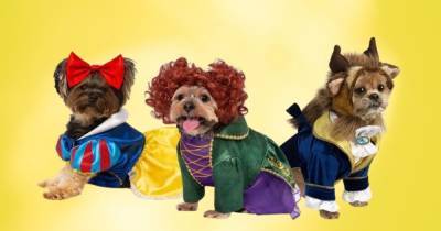 Dog owners can now buy Hocus Pocus costumes for pooches this Halloween - www.ok.co.uk - Britain - city Sanderson