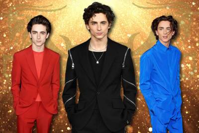What Timothée Chalamet’s birth chart reveals about the heartthrob - nypost.com